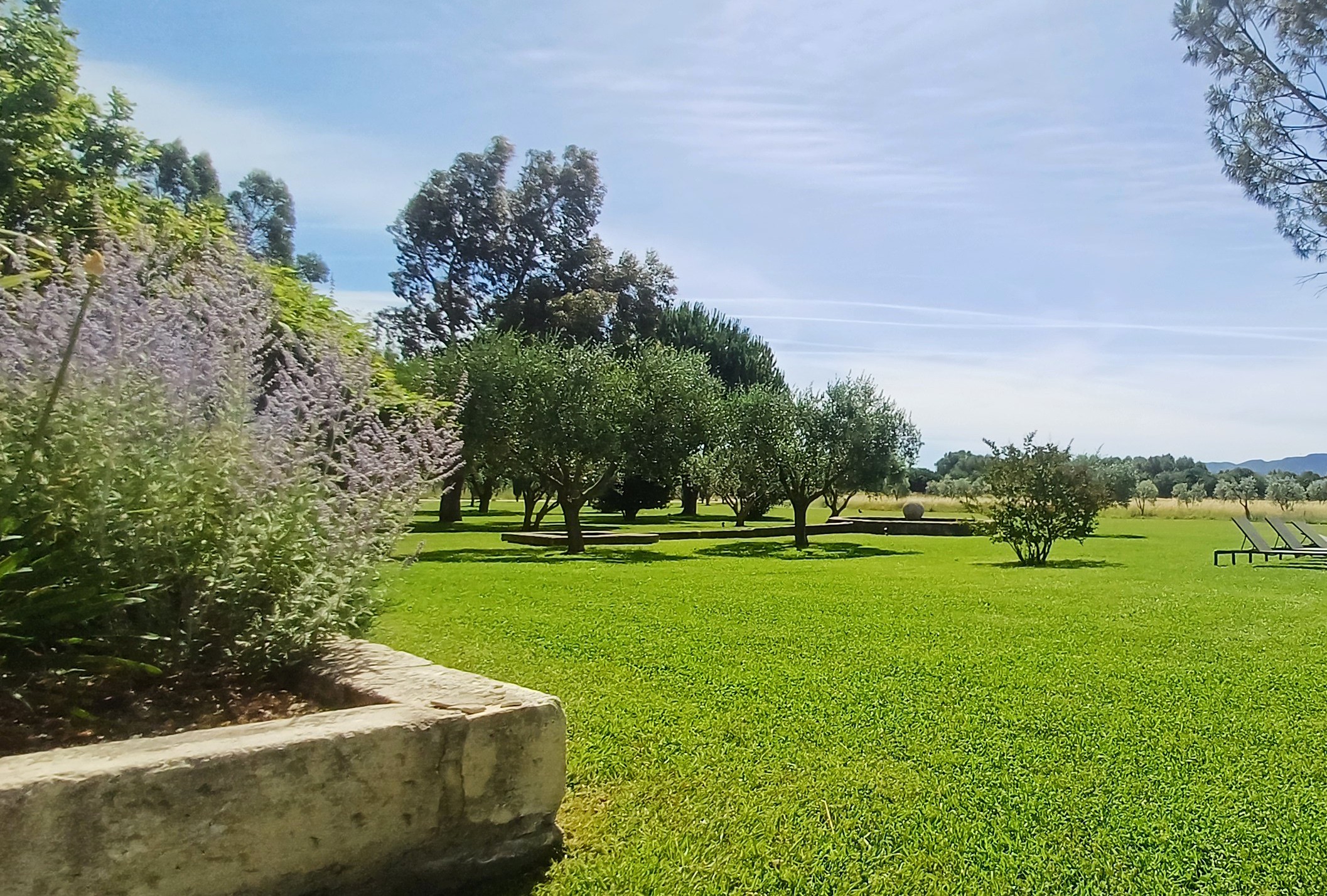 tonte de pelouse et entretien à Maussane-les-Alpilles